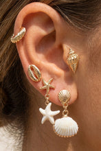 Load image into Gallery viewer, Collecting Coastal Shells Earrings Set